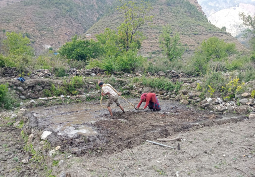 धानको बीउ राख्न तयारी गर्दै किसान