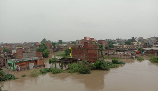 अविरल वर्षाले वीरगञ्ज महानगरका अधिकांश क्षेत्रमा डुबान