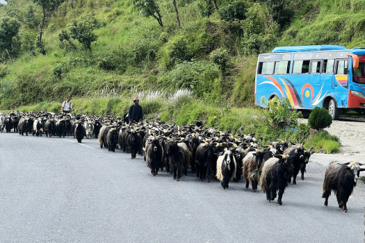 रारादेखि फेवासम्म च्याङ्‍ग्रा व्यापारीको यात्रा