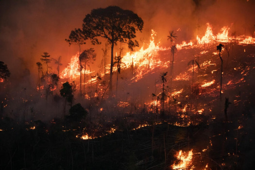 कोलम्बियामा डडेलोका कारण १७ हजार हेक्टरभन्दा बढी जंगल क्षेत्रमा क्षति