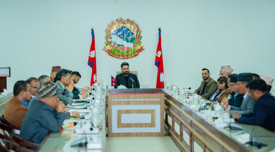 विश्वविद्यालयमा रहेका दलीय विद्यार्थी र कर्मचारी संगठन हटाउने निर्णय कार्यान्वयन गर्न प्रधानमन्त्रीको निर्देशन