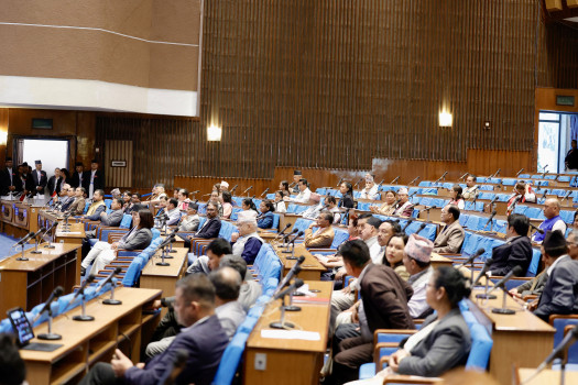 प्रतिनिधिसभाबाट आगामी आर्थिक वर्षको बजेट पारित