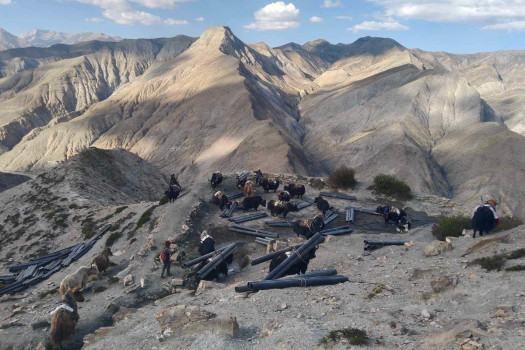 ढुवानीका लागि चौंरीको भर