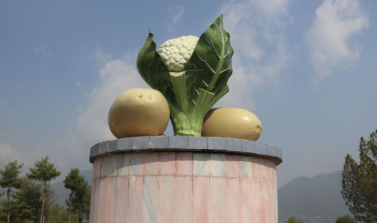 खान नमिल्ने आलु र काउली