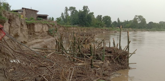 जमिन कटान रोक्न  जैविक तटबन्ध