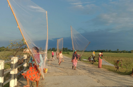 घोँगी र झिँगे माछा बेचेर दैनिक १५ सयसम्म कमाउँछन् भजनीका महिला