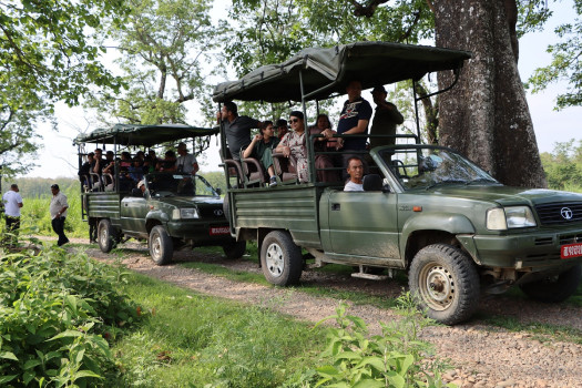 रोकिएका पर्यटकीय गतिविधि सञ्चालन गर्ने तयारीमा चितवन राष्ट्रिय निकुञ्ज