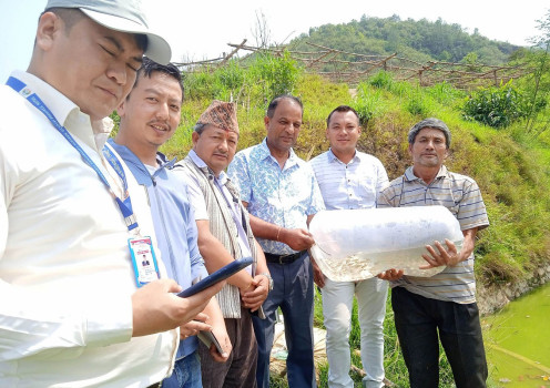 म्याग्देका किसानलाई माछाका भुरा वितरण