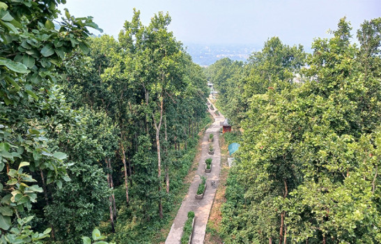 सुन्दर दृष्यपानका लागि लोकप्रिय बन्दै राम्चेवन