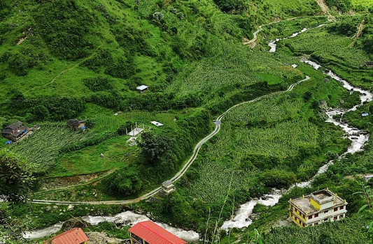हावाहुरीले मकै बाली नष्ट