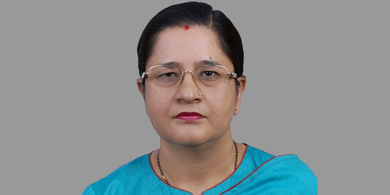 वैदेशिक लगानी भित्र्याउन झन्झटिलो प्रक्रिया हटाउन आवश्यक : डेप्युटी गर्भनर 