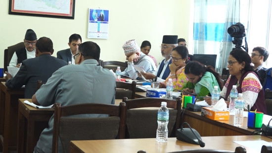 मिडिया स्वतन्त्र र उत्तरदायी बनाउनेगरी विधेयक आउनुपर्नेमा जोड