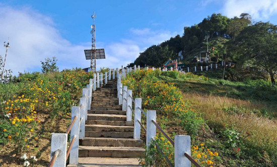 'फूलैफूलको पहाड' बनाउने अभियान
