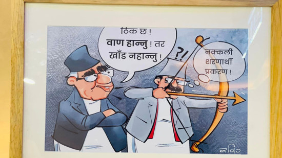 रवि मिश्रका कार्टुन प्रदर्शनीमा