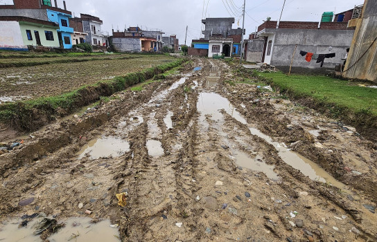 प्रदेश राजधानीमै सडकको यो हालत