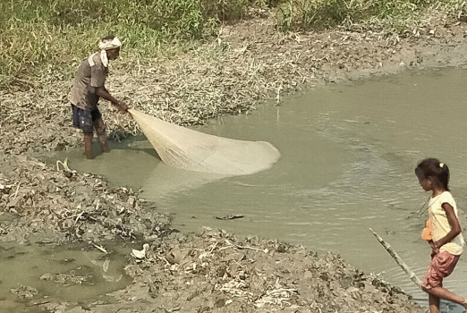 माछी मार न...
