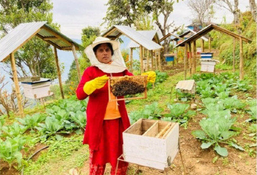 मौरीपालन व्यवसायबाट मनग्य आम्दानी