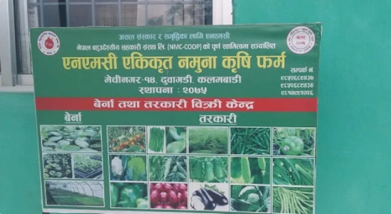 कृषि उद्यममा नमूना 'एनएमसी एग्रो'