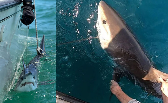 आँधीको शक्ति अनुमान गर्न वैज्ञानिकले सार्कको सहारा लिँदै