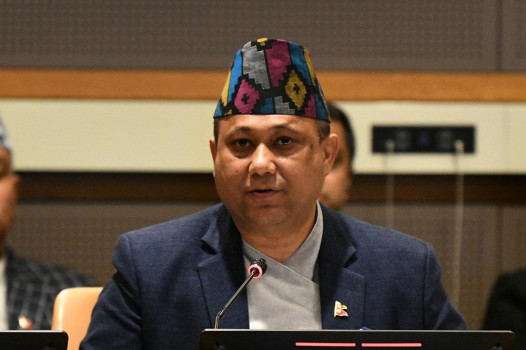 डर्बन घोषणाको प्रभावकारी कार्यान्वयनमा जोड दिन परराष्ट्रमन्त्री खनालको आह्वान