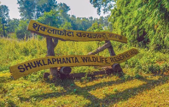  शुक्लाफाँटा आरक्ष विस्थापितको समस्या समाधानका पहल सुरु