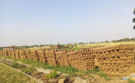 इन्धनका लागि 'गुइँठा' र 'चिपरी' कै भर