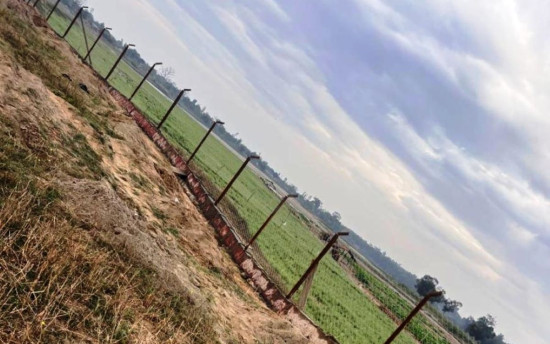 जंगली जनावरको आतंक रोक्न तारजाली जडान गरिँदै