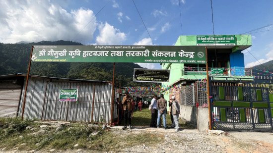 गलकोटका किसानको उत्पादन बिक्री नभए सहकारीले किन्ने