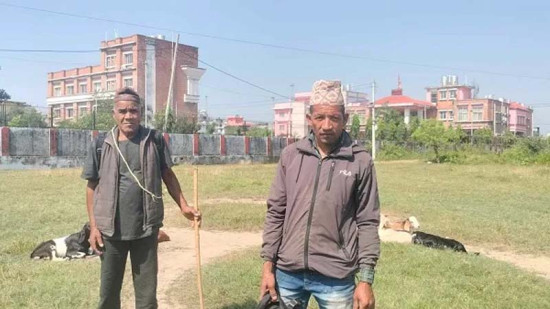 दसैंमा खसीबोका बिक्री नहुँदा किसान निराश