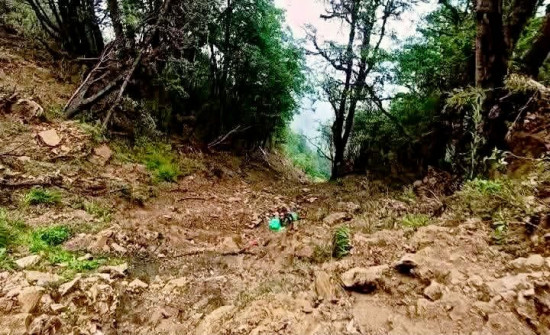 रोल्पामा जिप दुर्घटना : २० जनाको मृत्यु