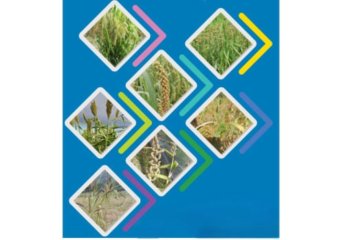 बाली प्रजनन तथा बीउ विज्ञानसम्बन्धी राष्ट्रिय सम्मेलन हुने