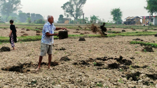 अधियाँ खेतीमै निर्भर छ भूमिहीन परिवार