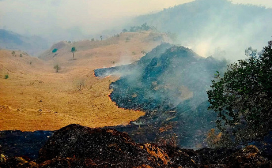 बागलुङमा आगलागी भयावह : ३८ वनमा आगो लाग्दा १५ वटाको अझै निभेन