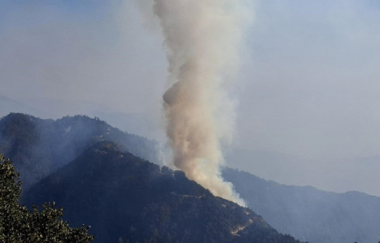 काभ्रेको गोरखनाथ सामुदायिक वनमा डढेलो