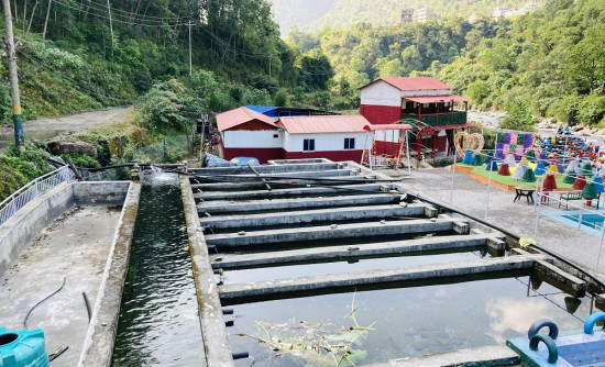 एग्रो रिसोर्ट आन्तरिक पर्यटकको रोजाइमा