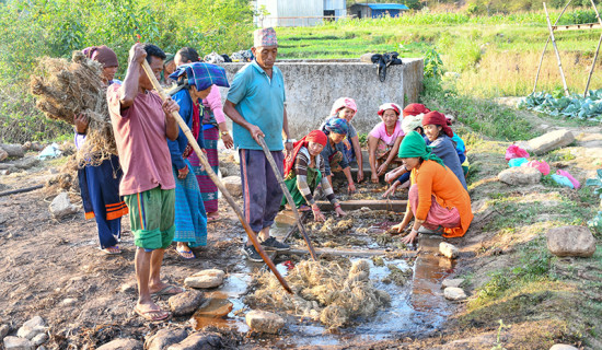 उपयोगी अल्लोबाट बन्छ कोटदेखि टोपीसम्म