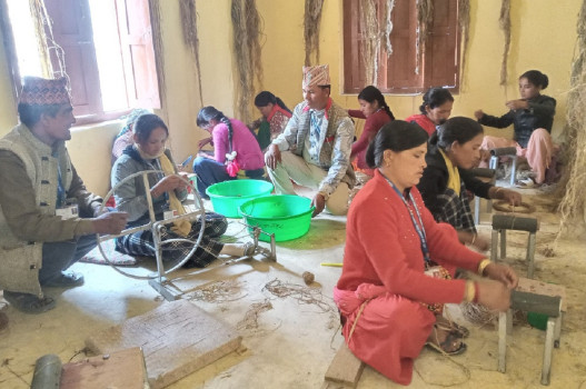 खेर गइरहेको अल्लोले महिलालाई बनायो मालामाल