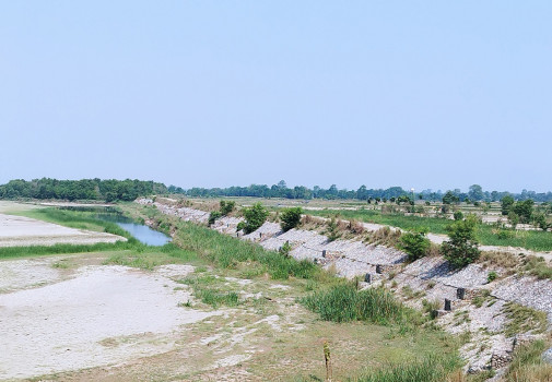 बाढीबाट जमिन जोगाउन राप्तीमा तटबन्ध