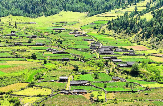 ग्रामीण जनजीवनलाई जीवित राखेको एउटा गाउँ