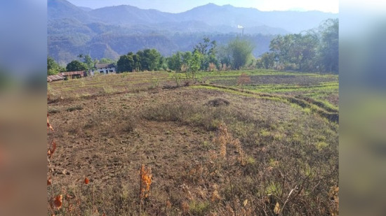 गुल्मीमा १५ सयभन्दा बढी परिवारलाई निस्सा वितरण