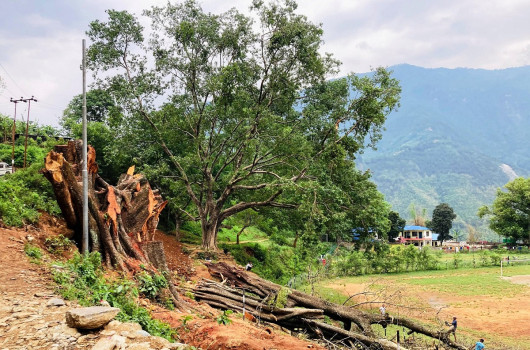 सडकले मासियो सम्पदा