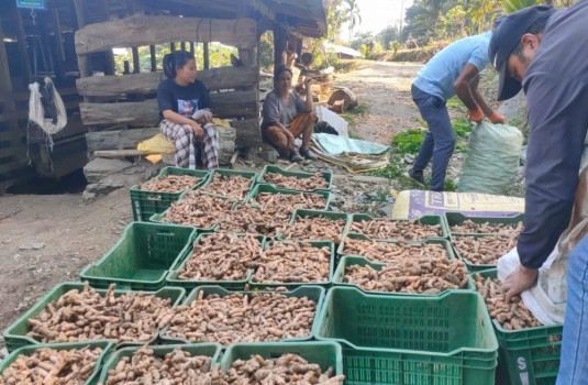 बेसार प्रवर्द्धनमा जुट्यो इलामको रोङ गाउँपालिका