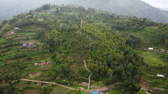 भोजपुरको वाक्चाखामा 'जाल्पादेवी गुराँस पदमार्ग' निर्माण