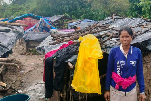 बाढीको जोखिमले राजमार्ग छेउ बस्न बाध्य वनहराका भूमिहीन परिवार