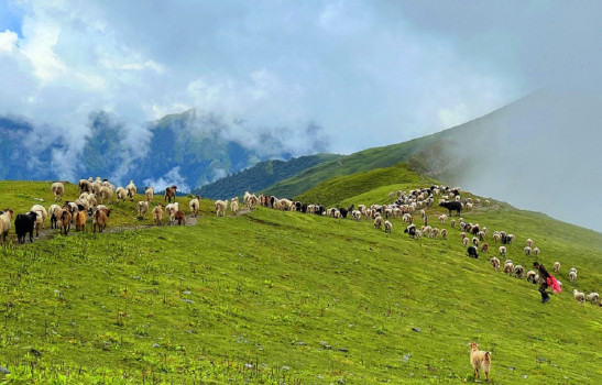 पदयात्राका लागि उत्कृष्ट गन्तव्य बन्दै 'बुकीपाटन'