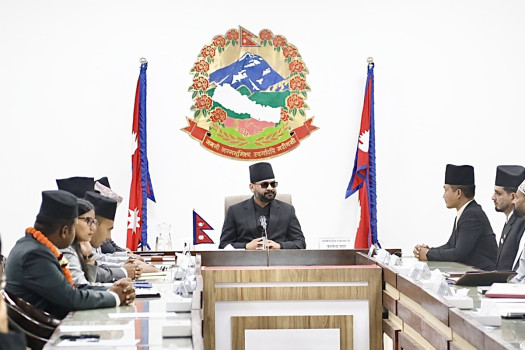 भदौ २४ को घटना छानबिन गर्न एक साताभित्र उच्चस्तरीय समिति गठन गरिने