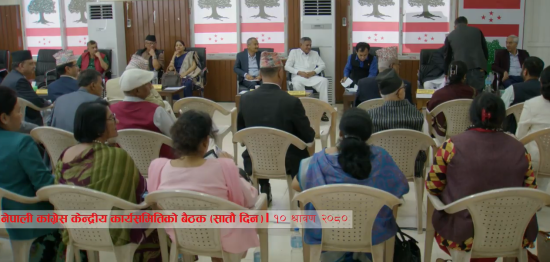 कांग्रेसले गाउँ सेवा दल गठन गर्ने