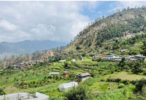 कुशे गाउँपालिकामा रहेको दम्दाला गाउँ