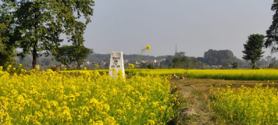 दशगजा वारिपारि पहेँलपुर तोरीबारी : गाउँको आधा भाग नै भारततिर