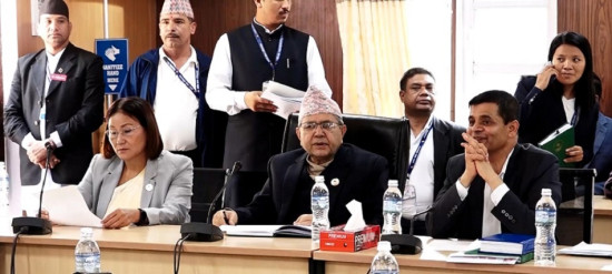 सिंहदरबारमा नवनिर्वाचित संसदीय समिति सभापतिसँग सभामुख घिमिरेको छलफल